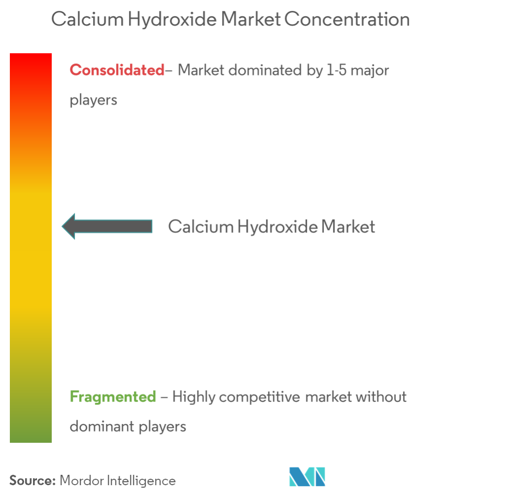 Market Concentration - Calcium Hydroxide Market